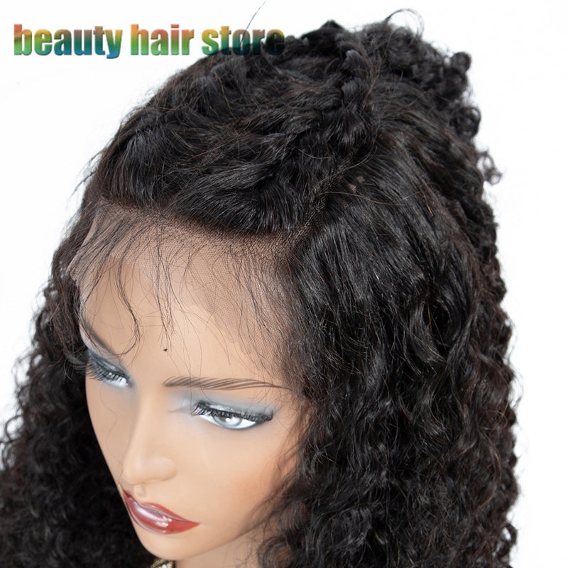 Brazilian Kinky Curly Lace Front Wig - Bold & Beautiful